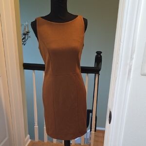 Siena Brown Sleeveless Premise Dress With Front And Waist Shaping